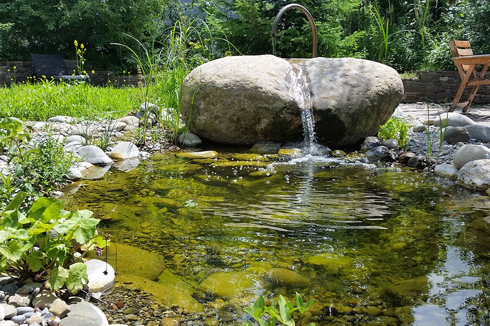 Biotop in natürlichem Steinbecken mit grossem Stein und kleinem Wasserfall.