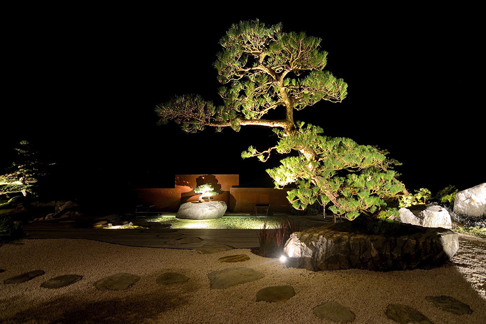 Beleuchtung eines grossen Bonsaibaumes