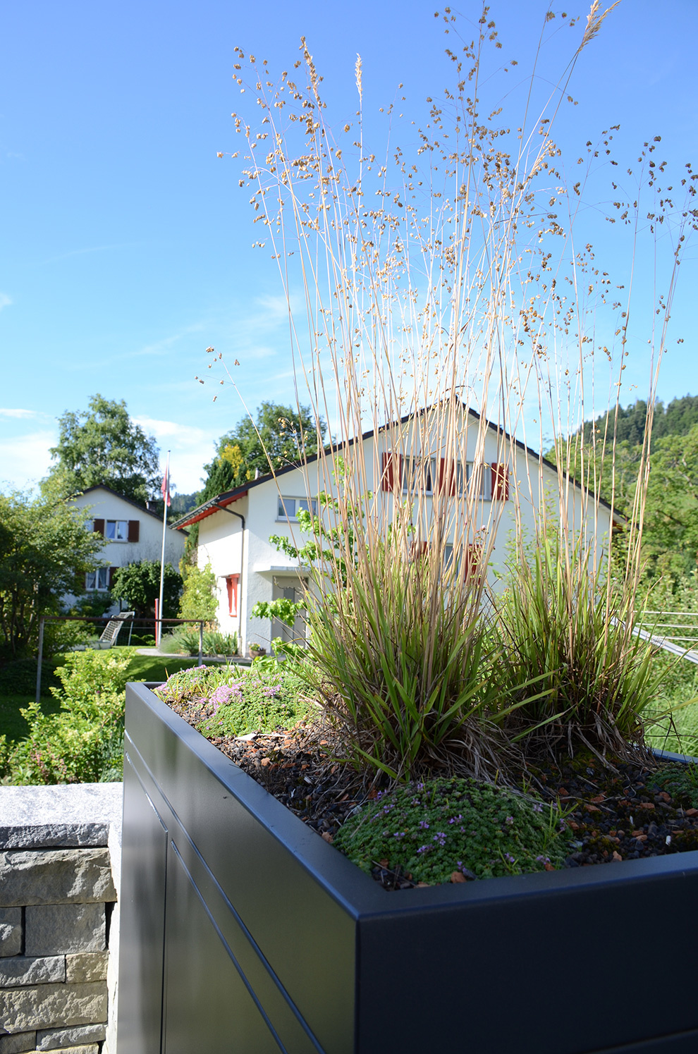 Nachher - Garten mit Pflanzenelement, St Gallen