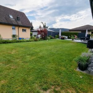 Grüner Garten zwischen zwei Häusern mit Terrasse.