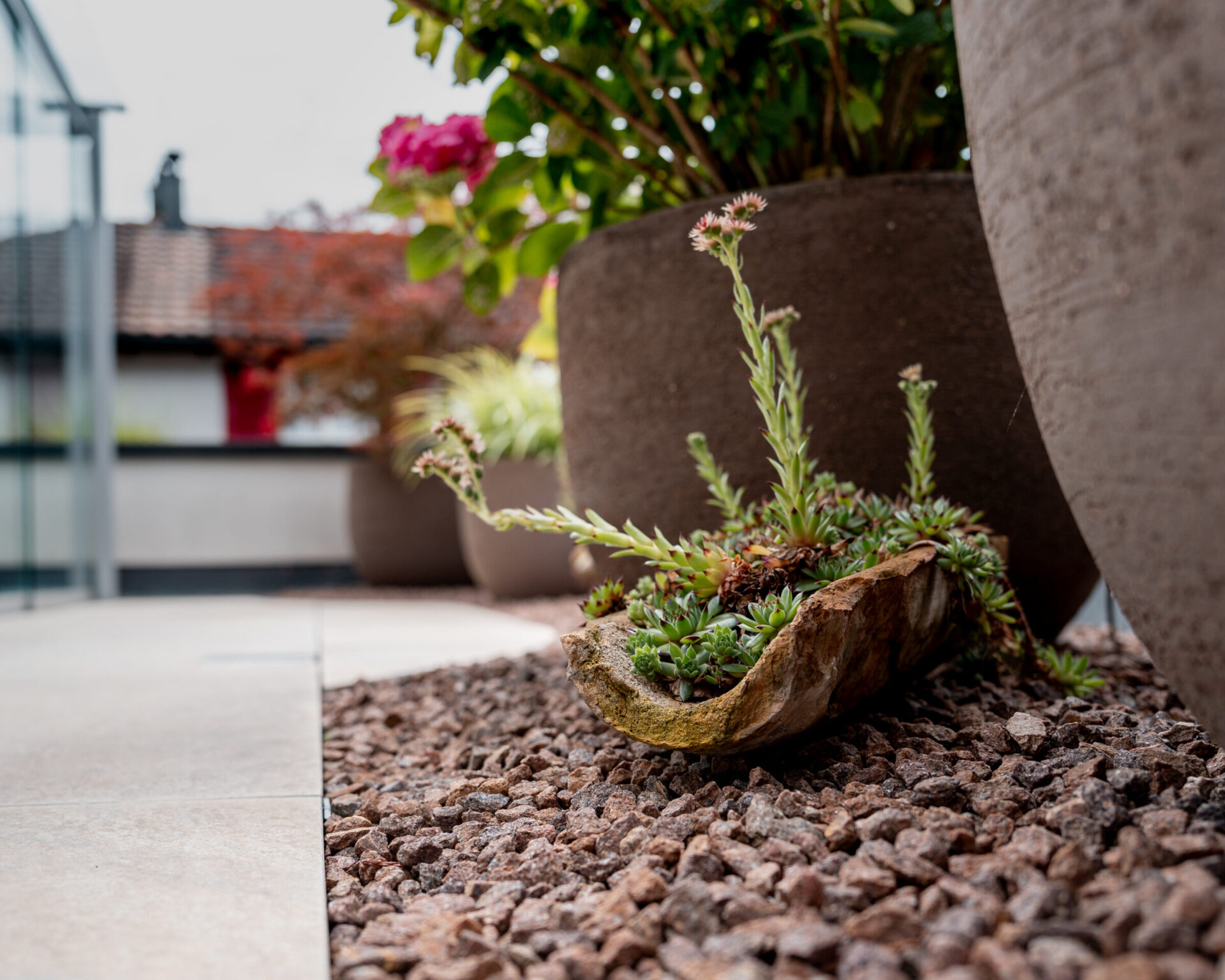 Garten mit Sukkulenten und Töpfen auf Steinen