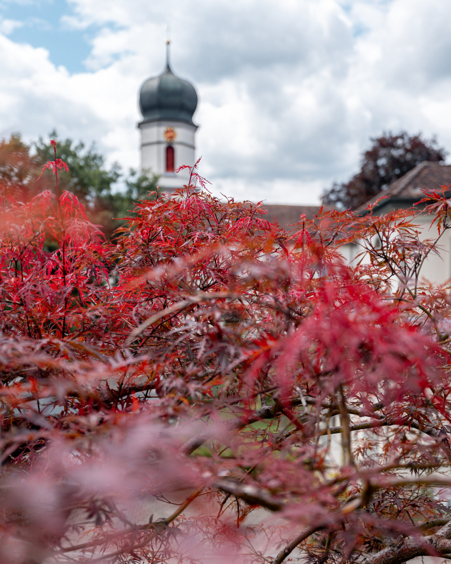 Roter Ahorn vor Kirchturm bei bewölktem Himmel.