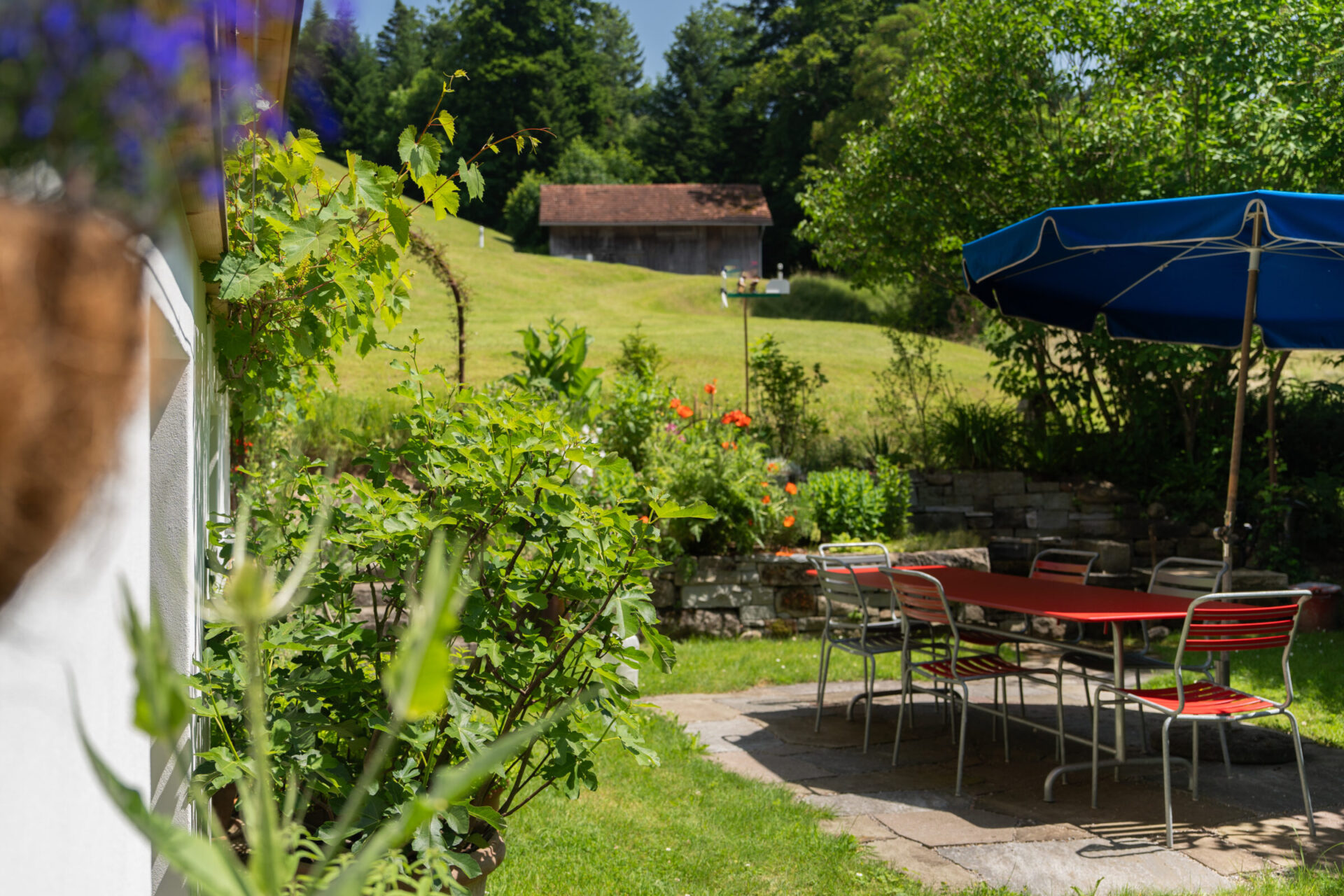Garten mit Tisch und Stühlen im Freien
