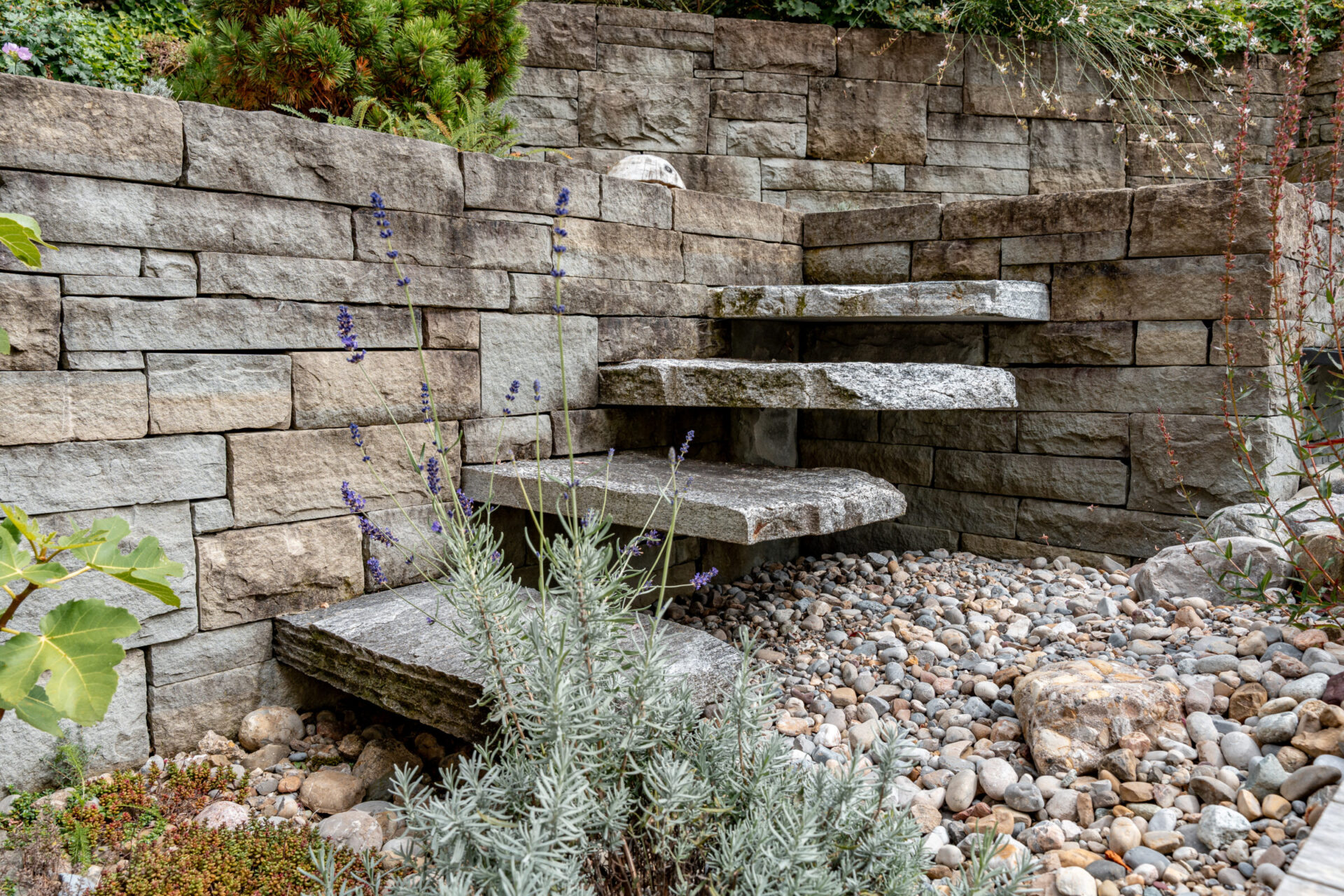 Steintreppe im Garten mit Pflanzen und Kies.