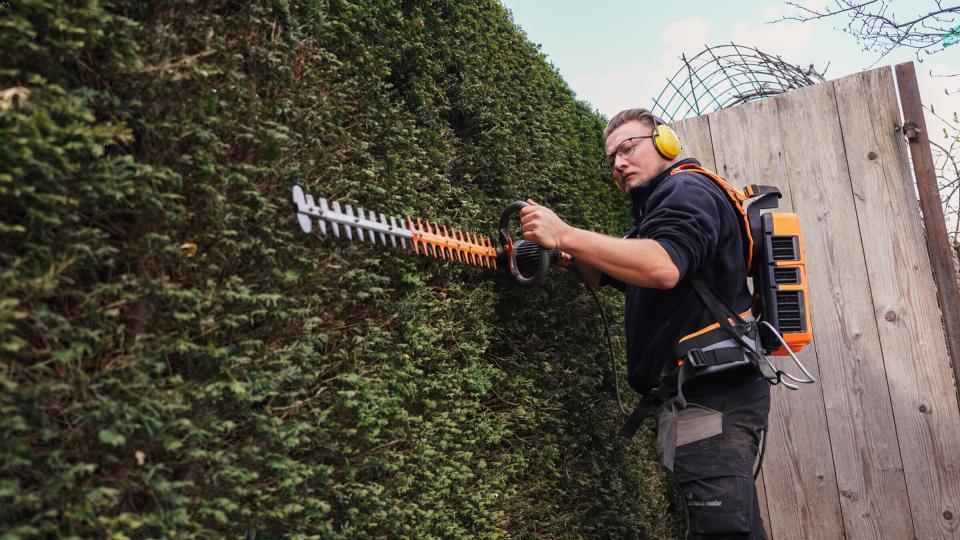 Mann schneidet Hecke mit Heckenschere, trägt Gehörschutz.