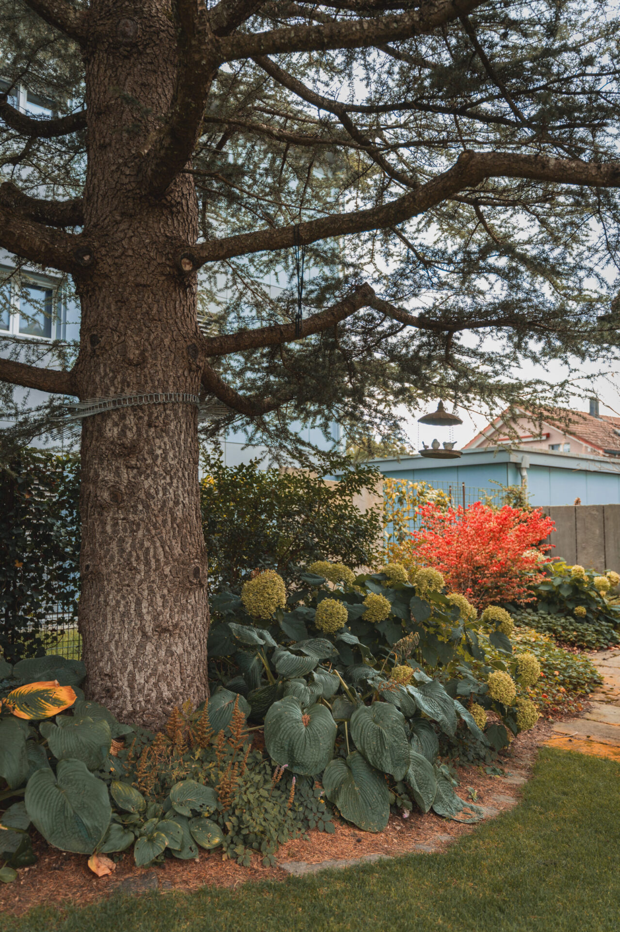 Garten mit großem Baum und bunten Blumen