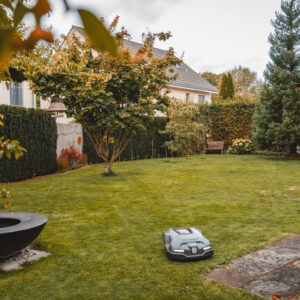 Garten mit Rasenmäher-Roboter und Bäumen
