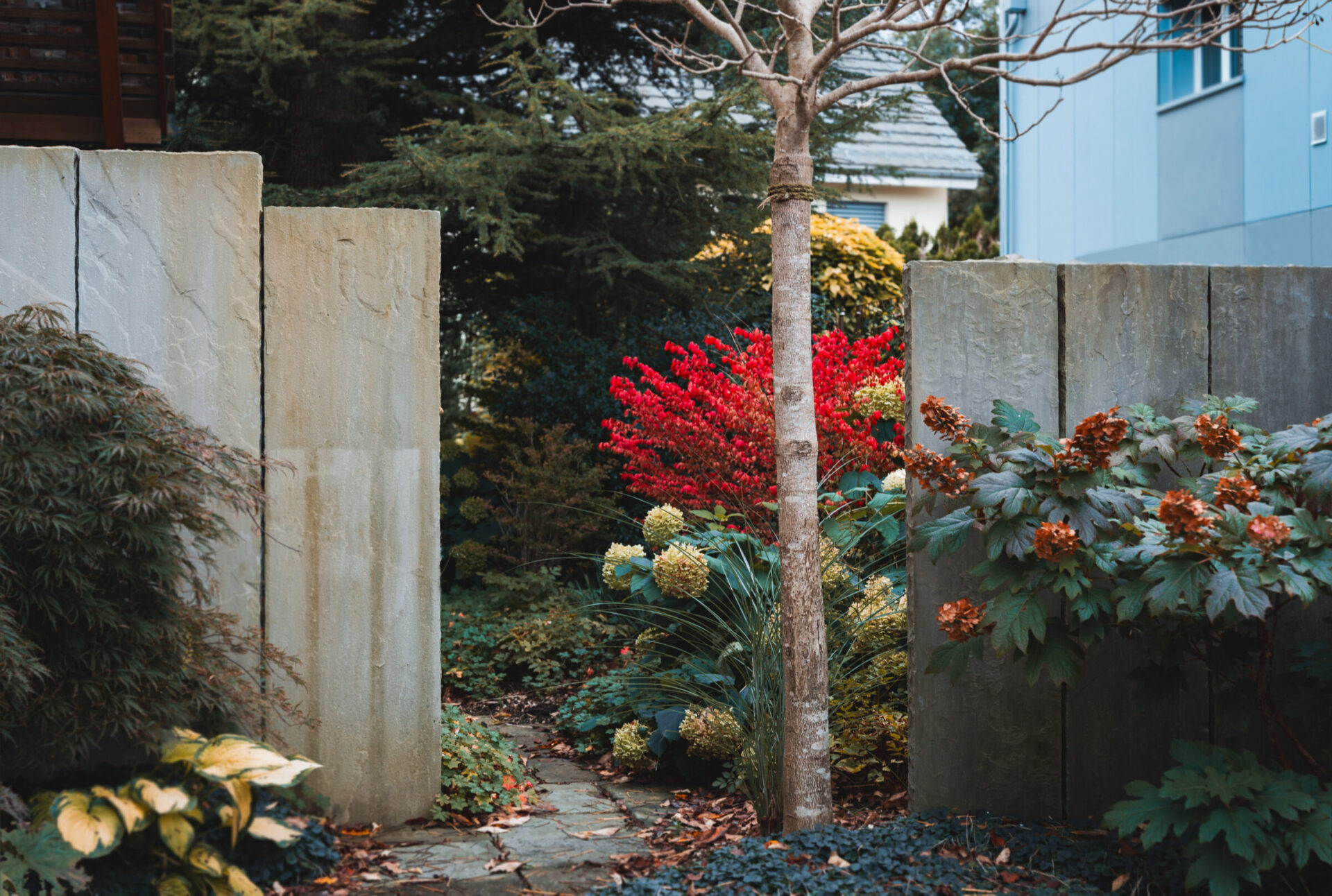 Garten mit bunten Blumen und Bäumen
