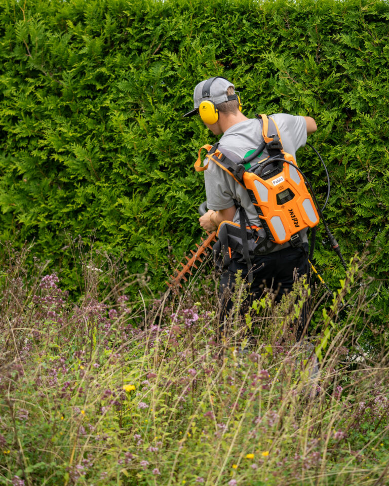 Gärtner schneidet Hecke mit Elektrogerät.