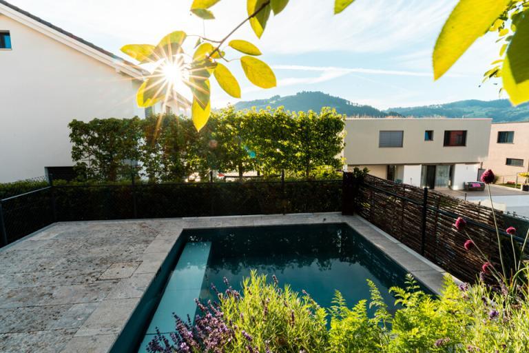 Sonniger Garten mit Pool und modernen Häusern.