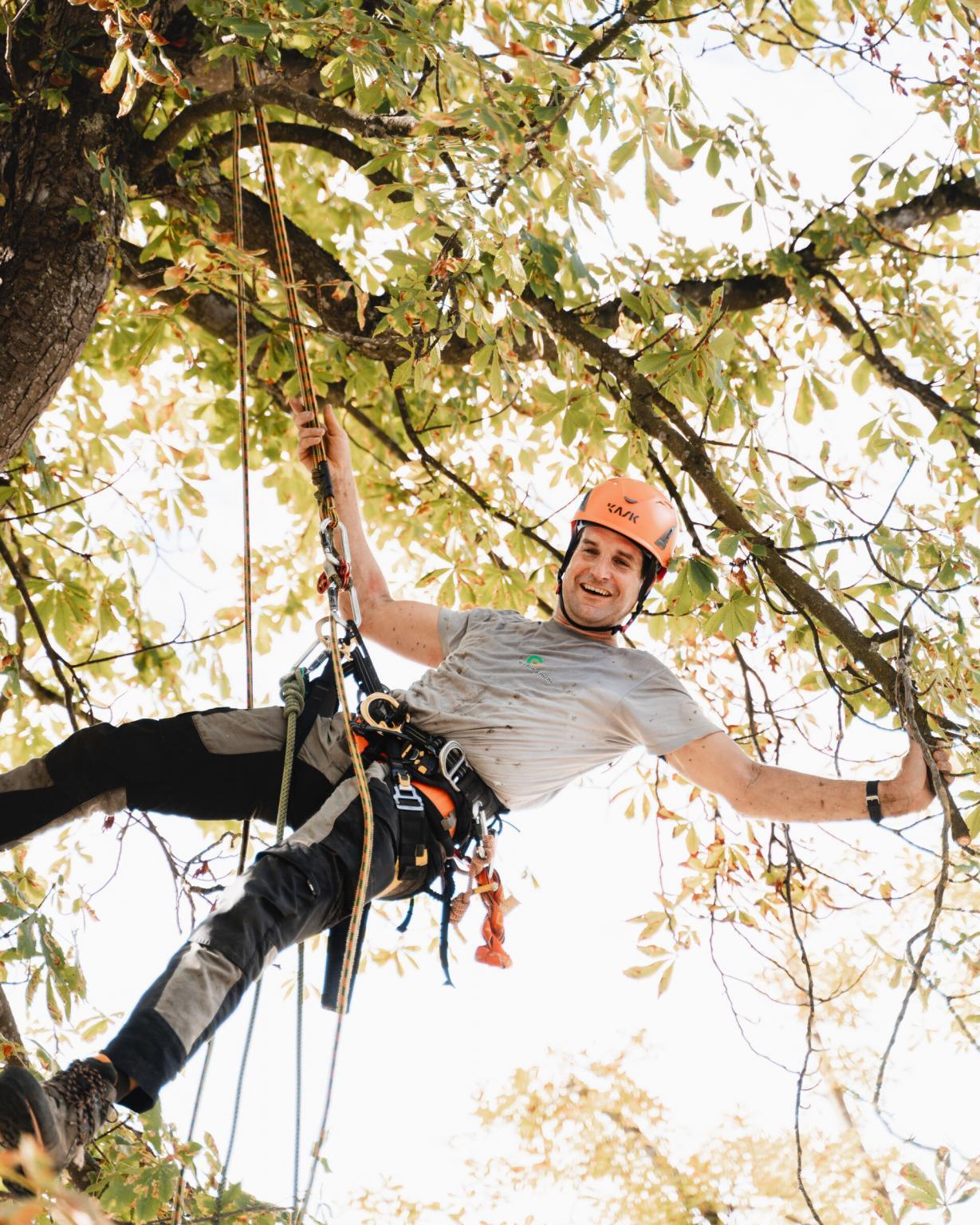 Mann klettert fröhlich im Baum