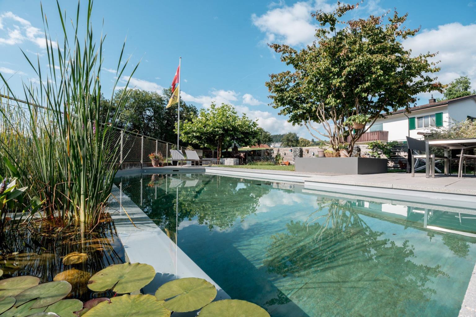 Gartenpool mit Seerosen und Liegestühlen