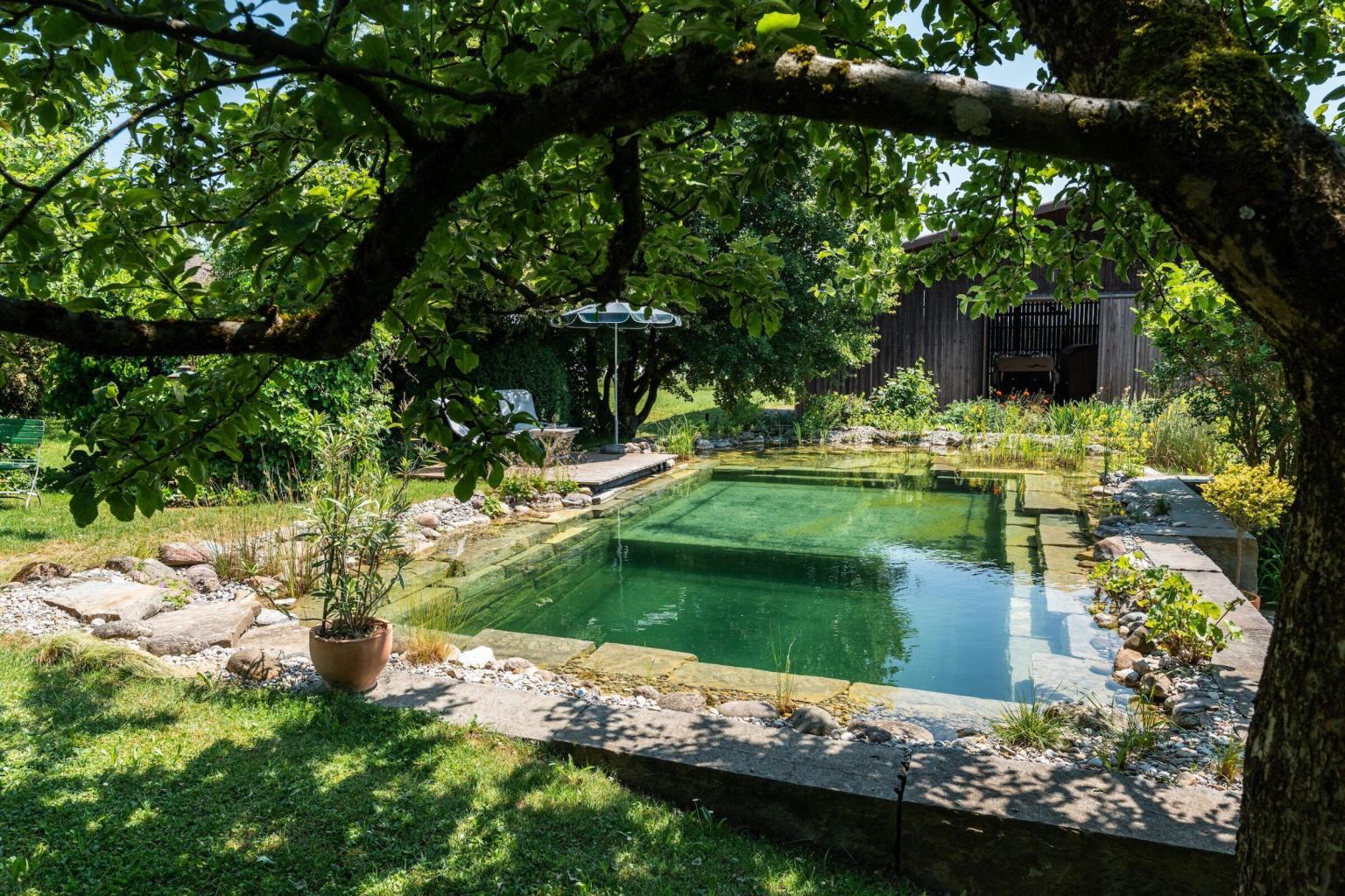 Garten mit Naturteich und Baum
