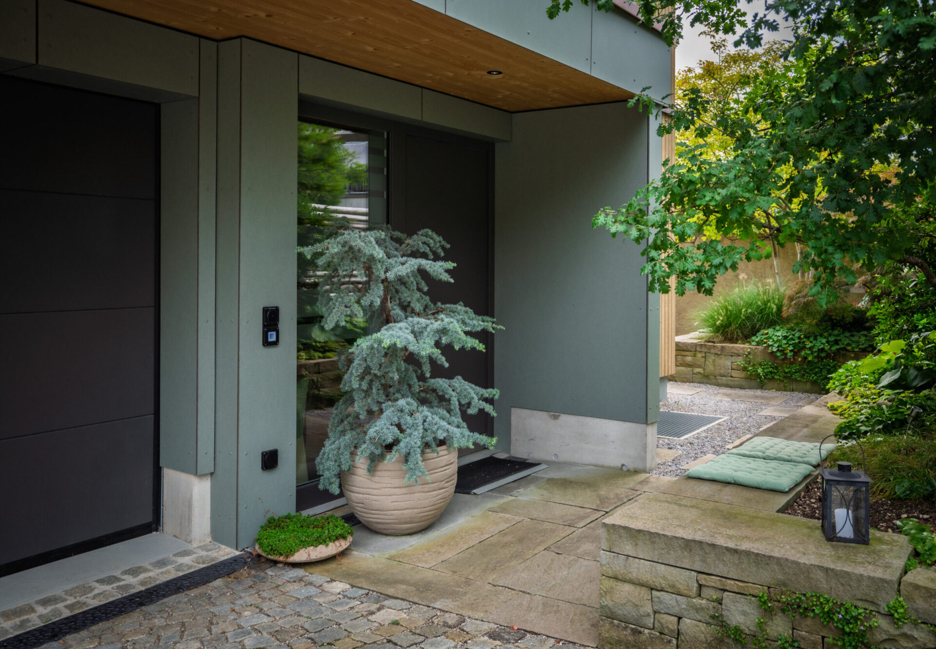 Moderner Hauseingang mit Pflanze im Topf