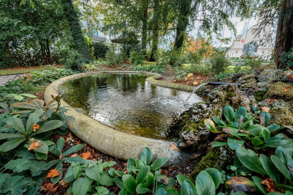 Kleiner Teich im grünen Garten