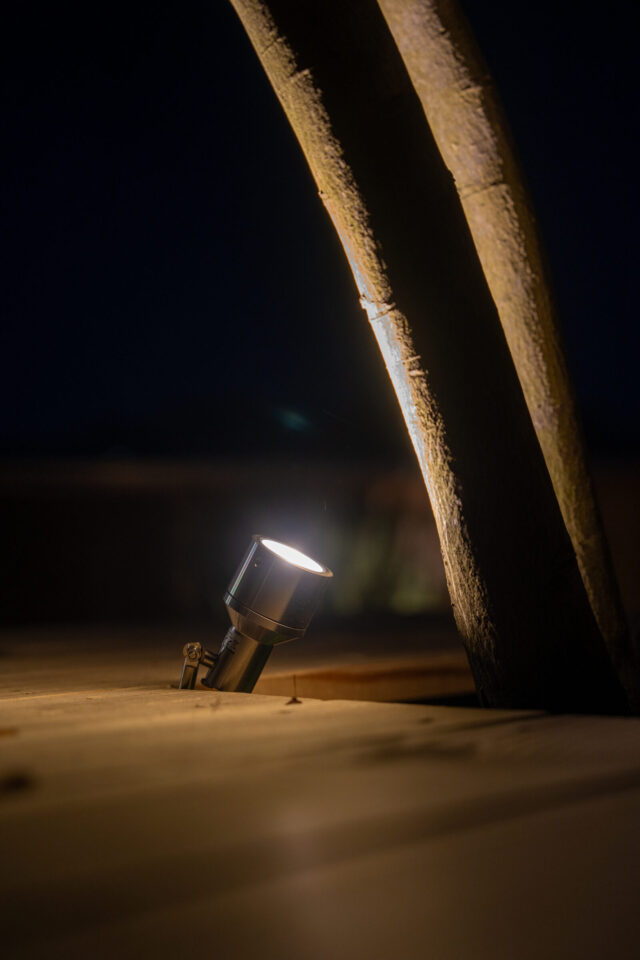 Nachtbeleuchtung eines Baumes mit Bodenstrahler