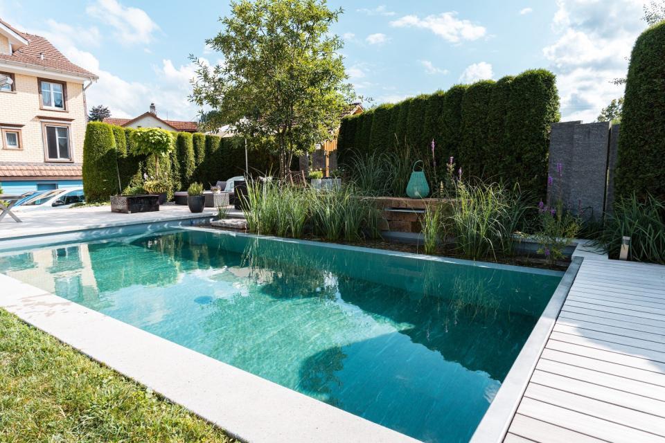 Moderner Gartenpool mit Pflanzen und Sitzbereich.