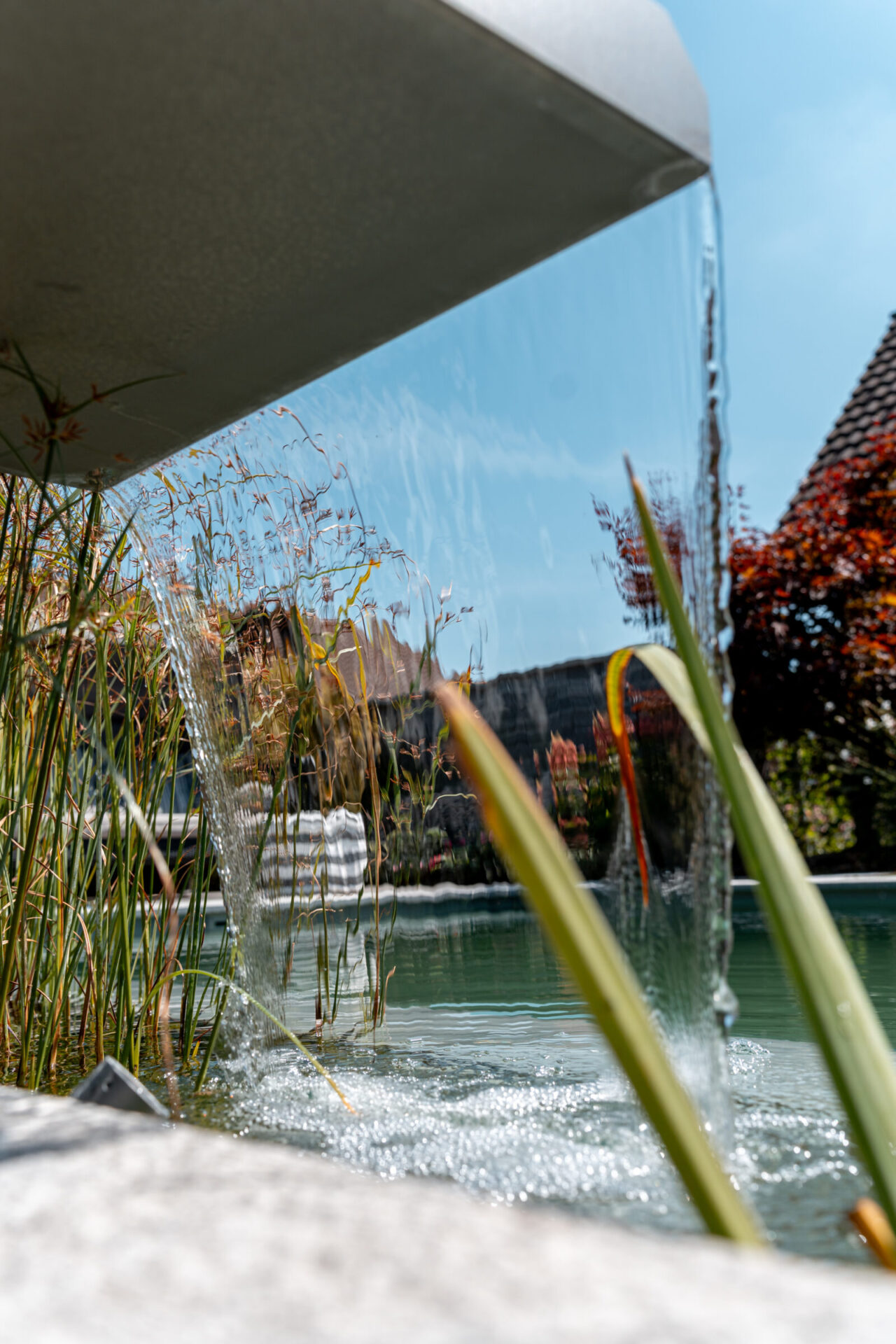 Wasserfall und Pflanzen am Teich im Garten