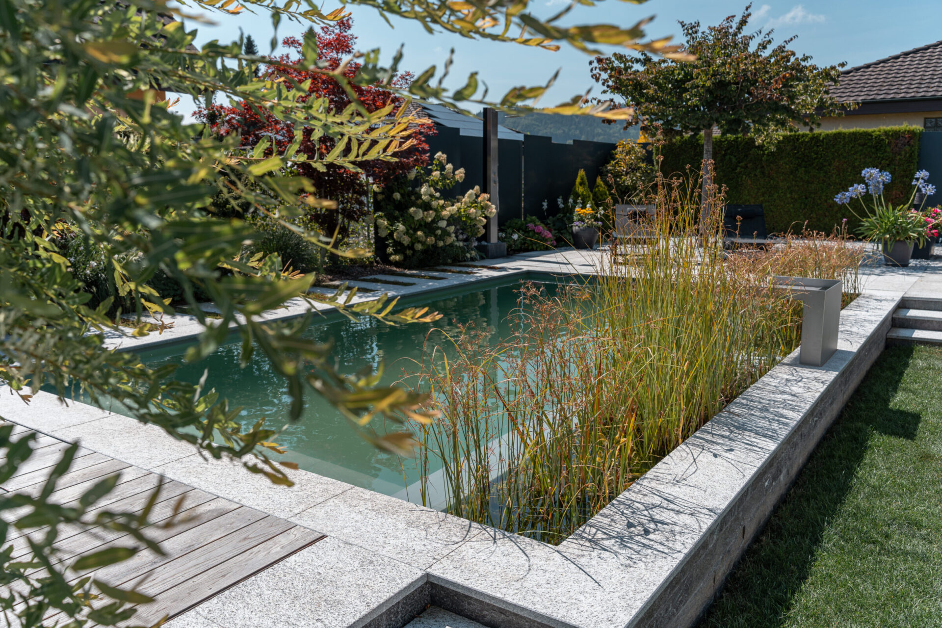 Moderner Garten mit Schwimmteich.