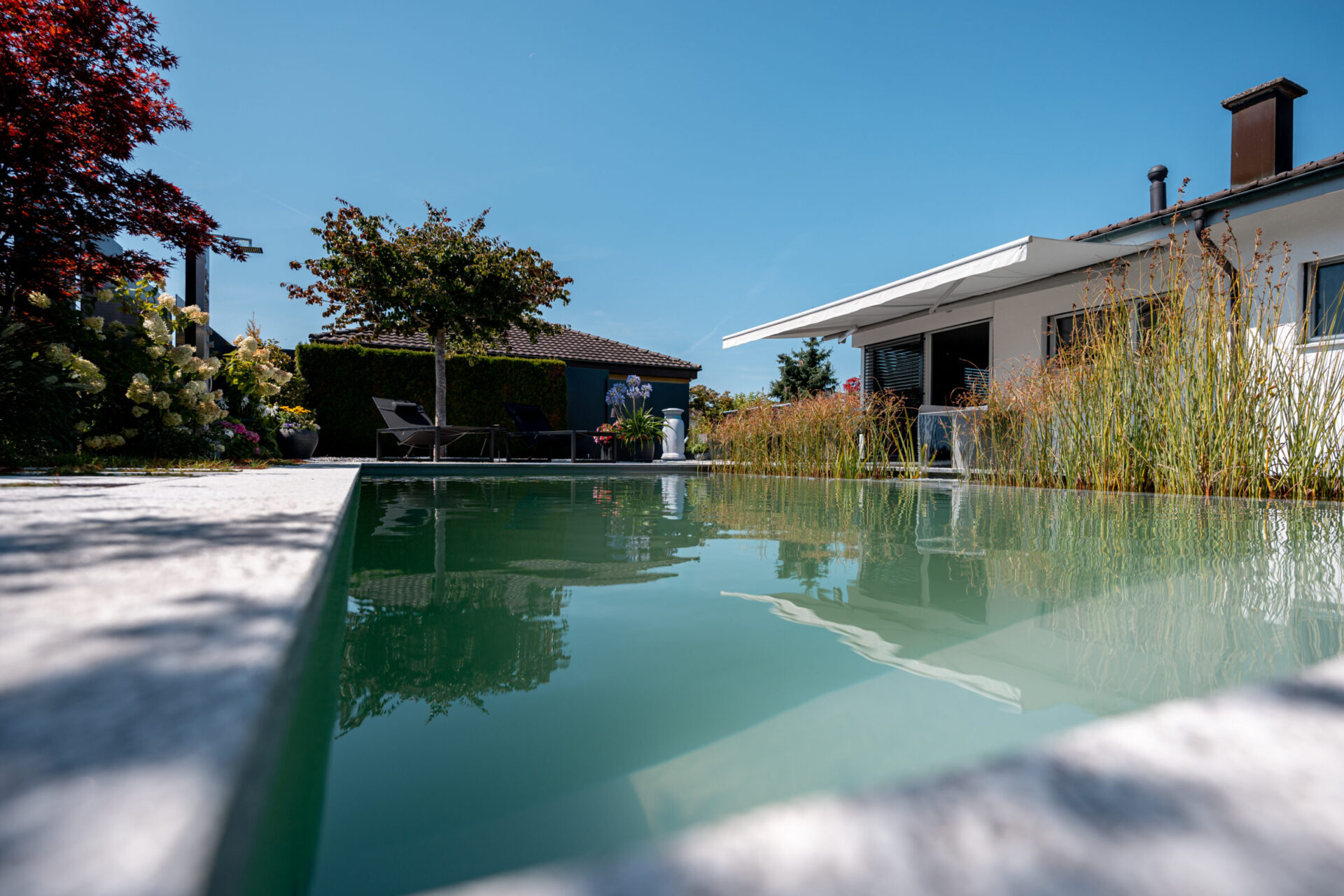 Moderner Garten mit Pool und Terrasse