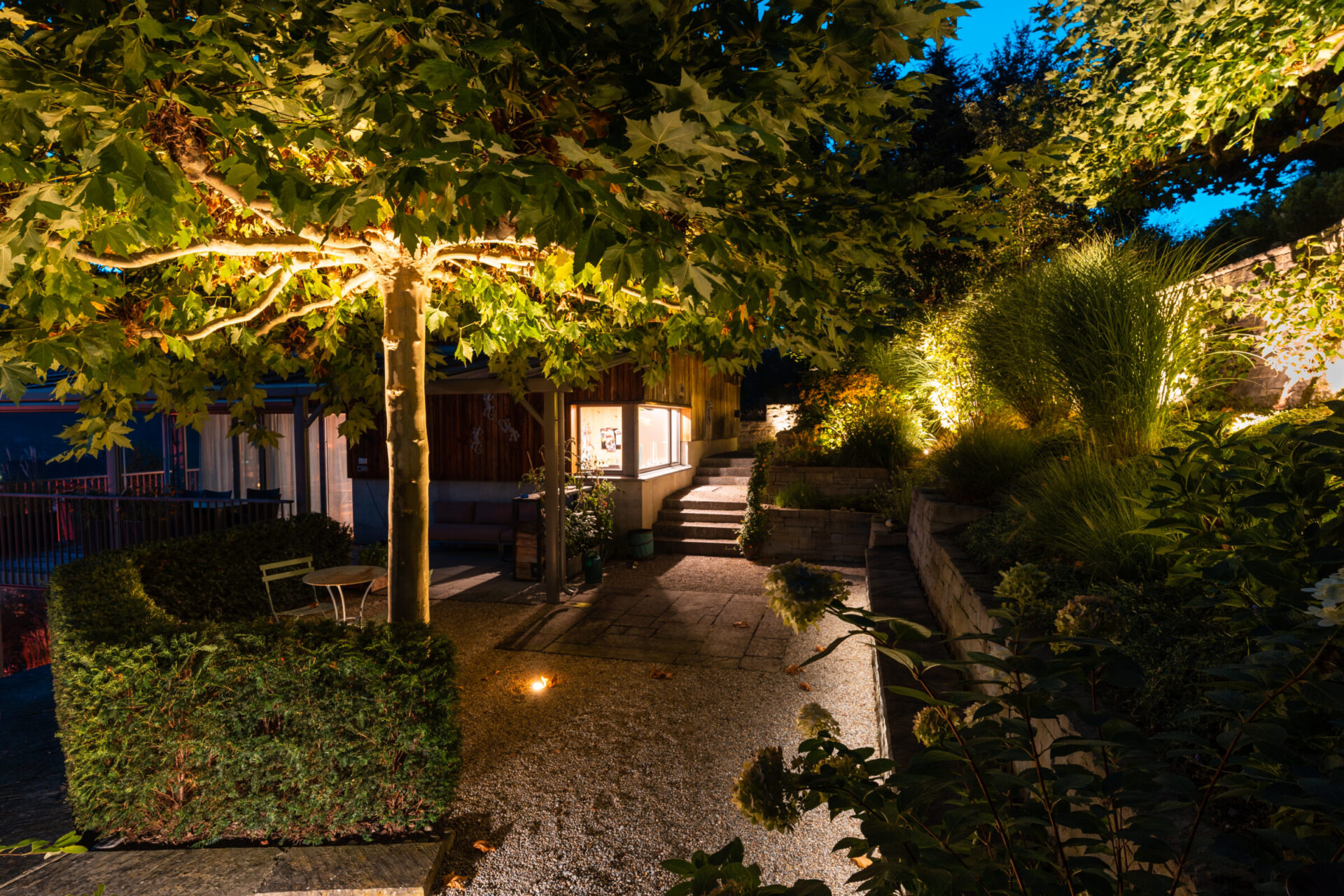 Beleuchteter Gartenweg bei Nacht, gesäumt von Bäumen