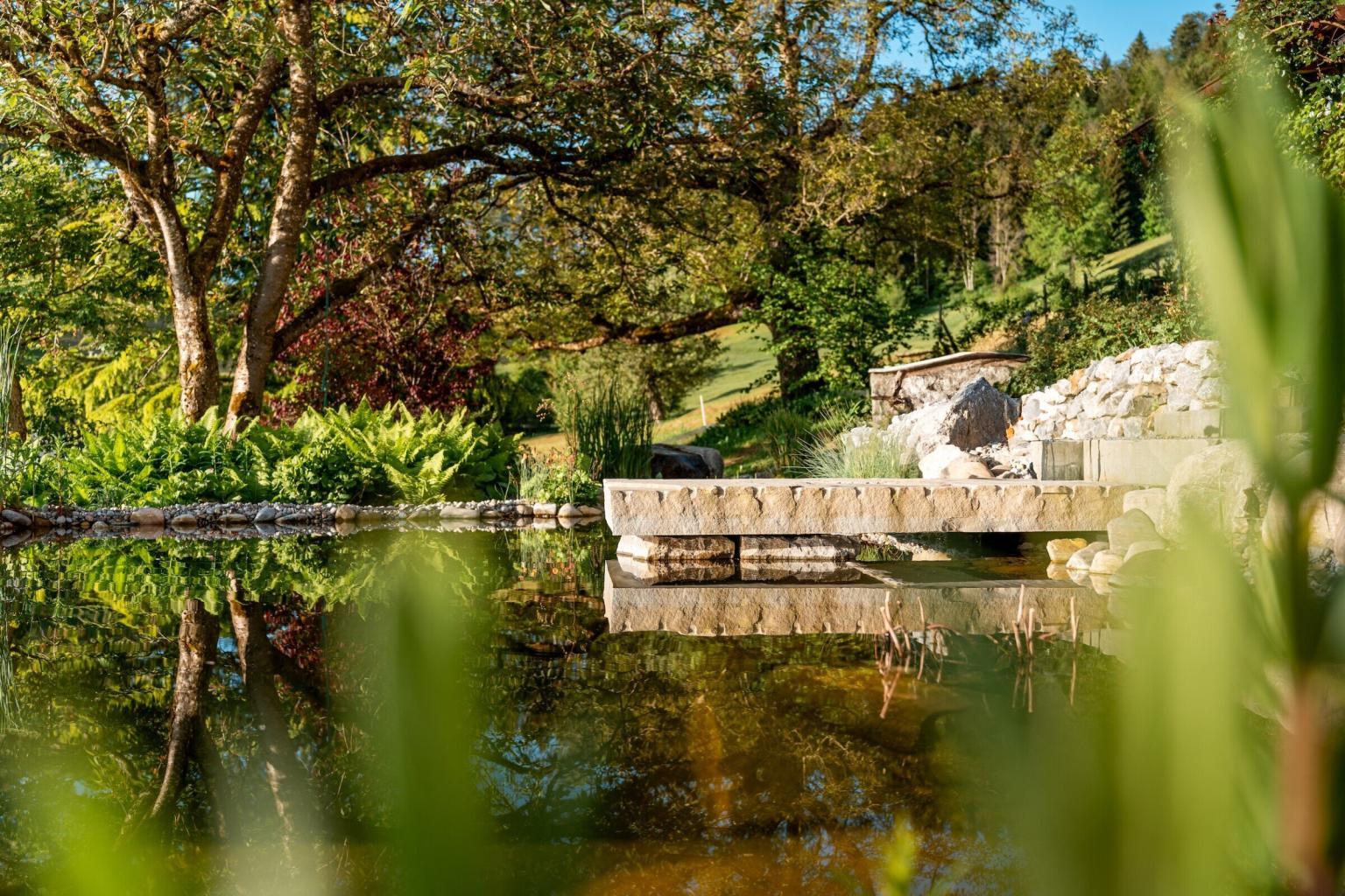 Garten mit Teich und Bäumen im Hintergrund.