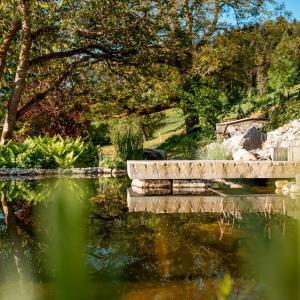 Garten mit Teich und Bäumen im Hintergrund.