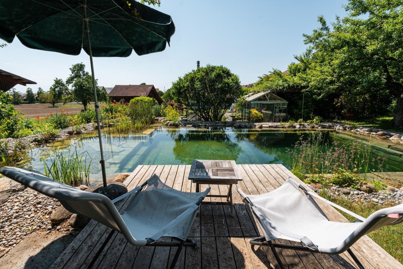Garten mit Teich und Liegestühlen im Sommer
