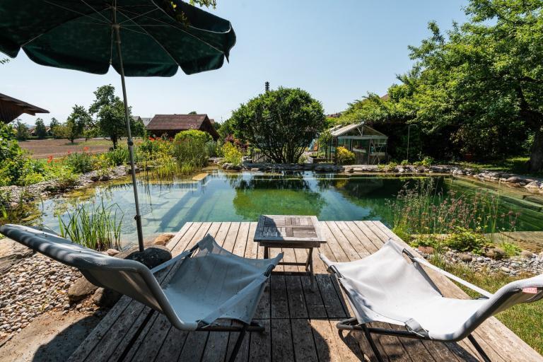 Garten mit Teich und Liegestühlen im Sommer